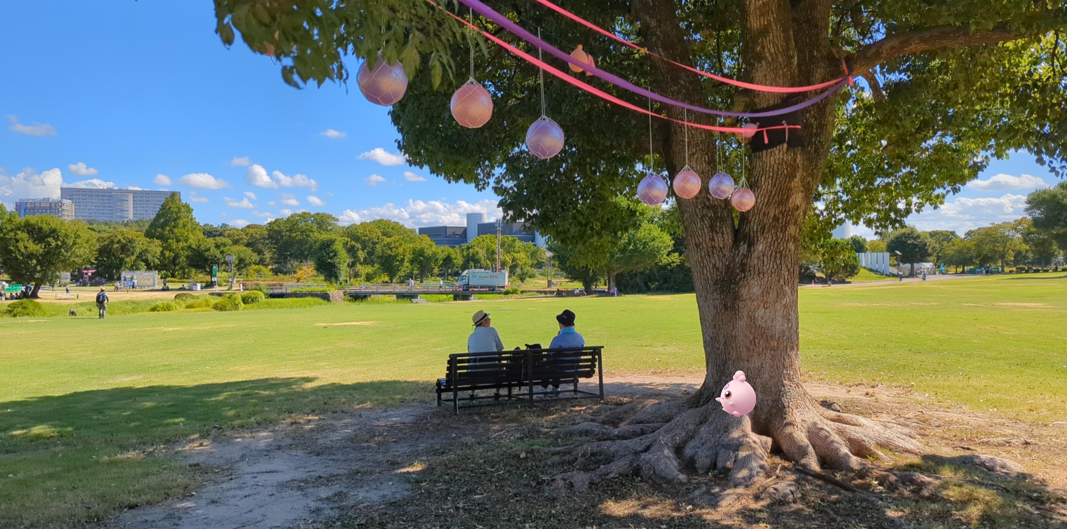 Pokémon GO: AR Photography, image 5