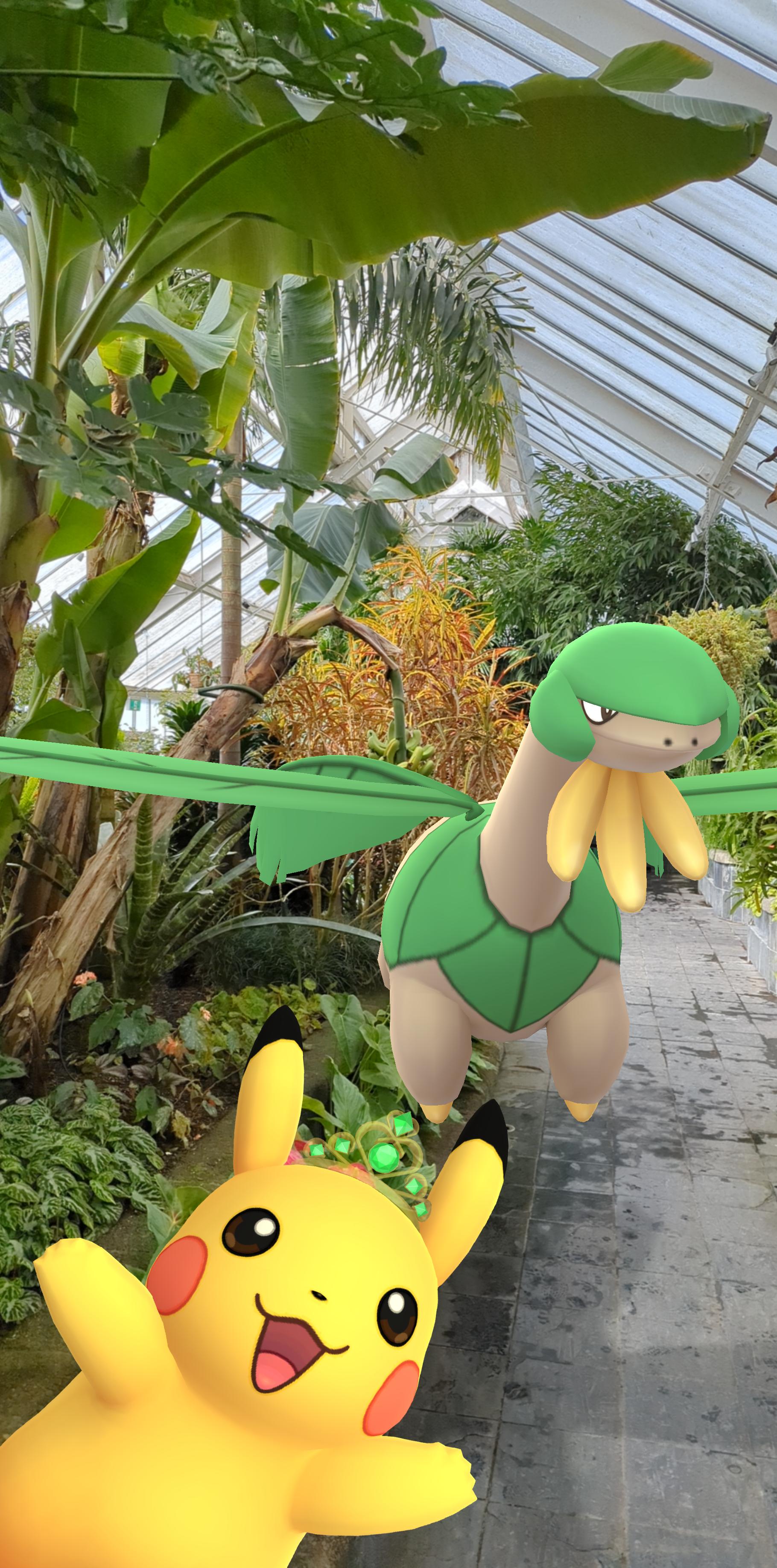 Pokémon GO: AR Photography, image 12